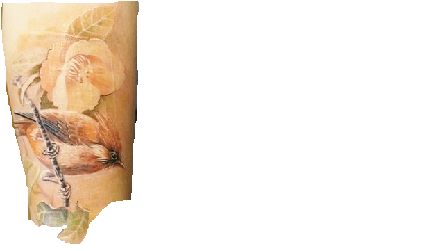 Eileen M.: Tattoo Studio - Meinung und Hilfe gefragt